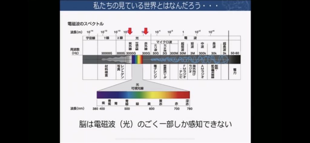 ７　脳科学の達人　池谷 裕二氏